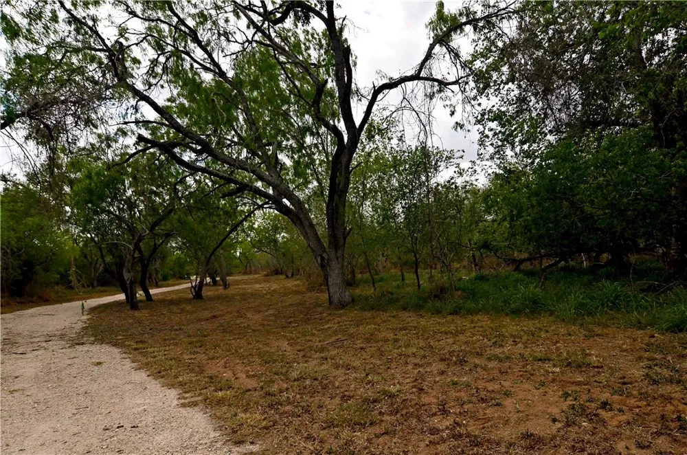 101 Alfredo Floresville, TX 78114
