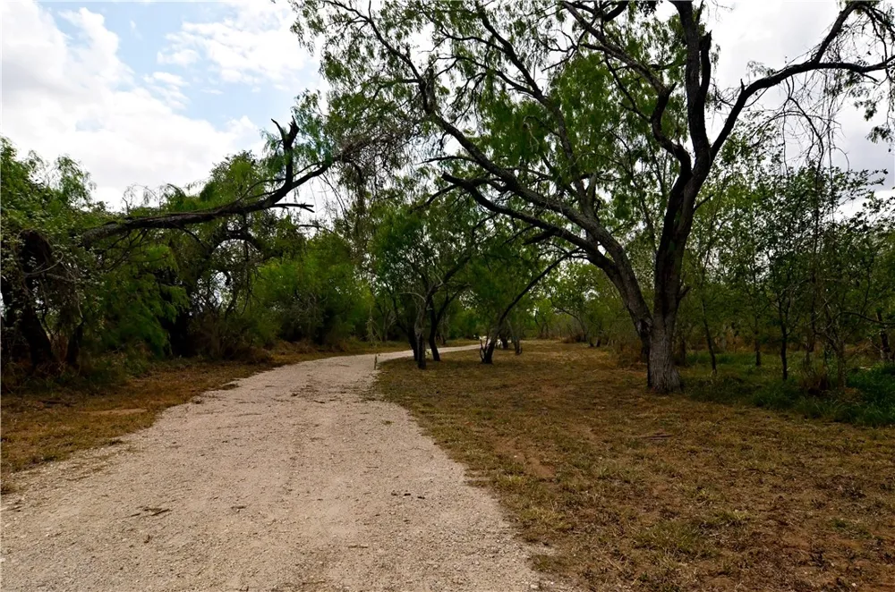 101 Alfredo Floresville, TX 78114