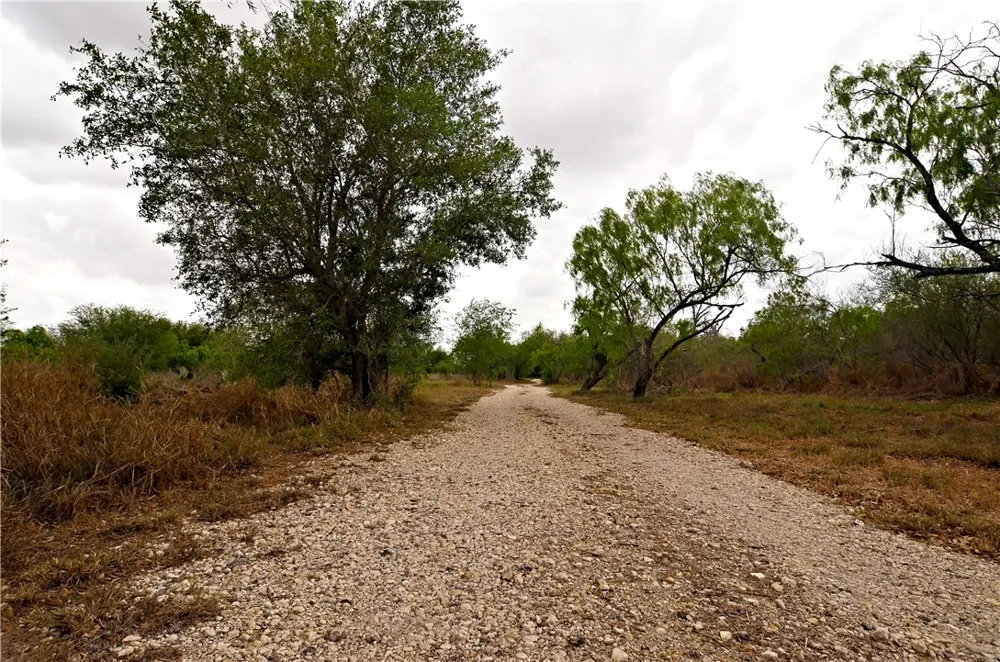 101 Alfredo Floresville, TX 78114