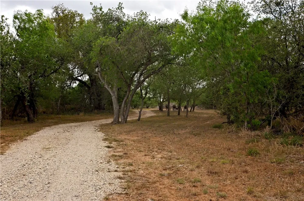 101 Alfredo Floresville, TX 78114