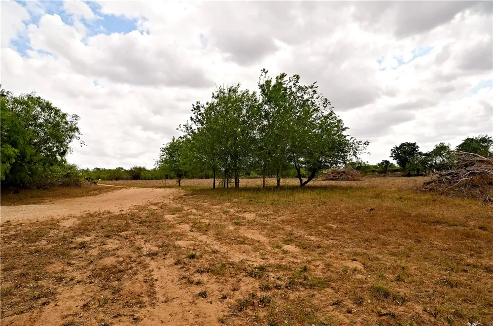 101 Alfredo Floresville, TX 78114