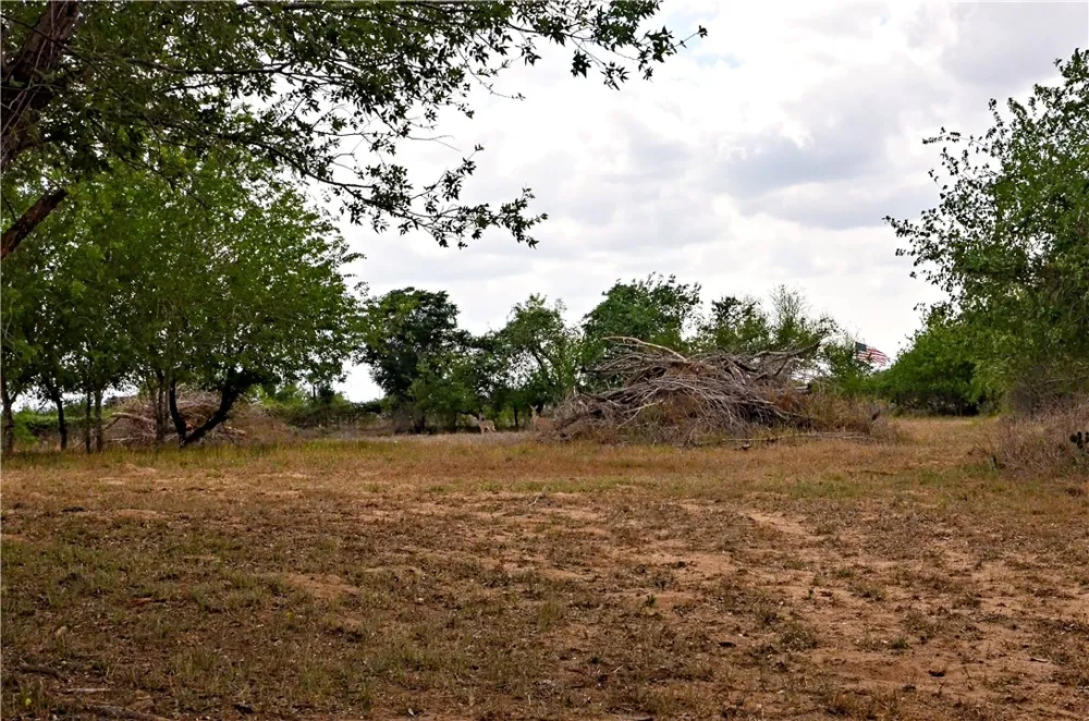 101 Alfredo Floresville, TX 78114