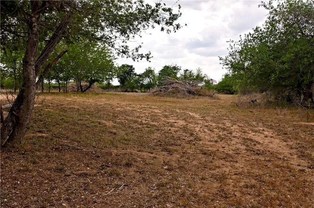 101 Alfredo Floresville, TX 78114
