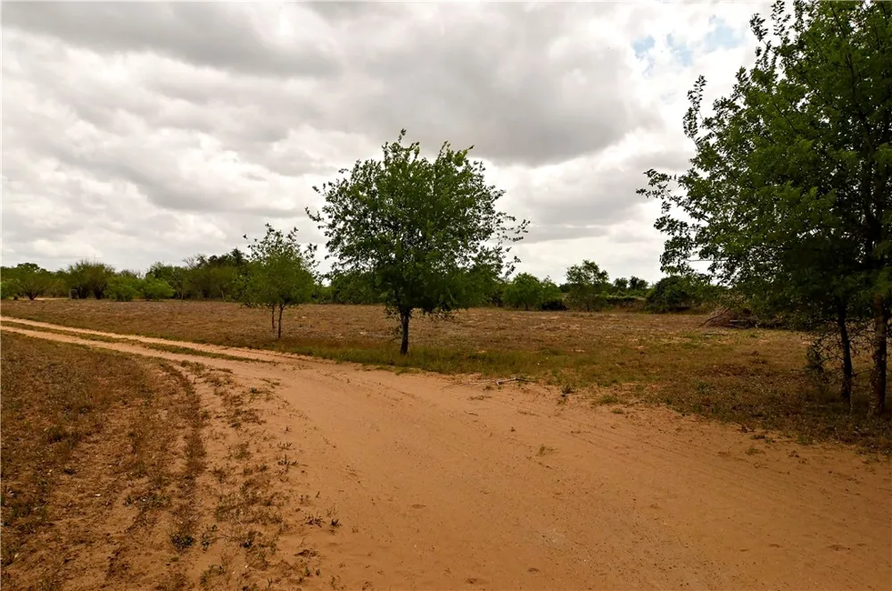 101 Alfredo Floresville, TX 78114