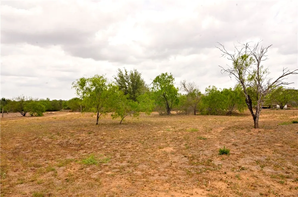 101 Alfredo Floresville, TX 78114