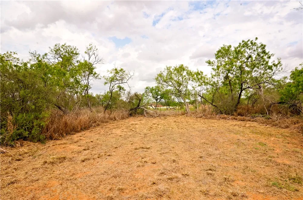 101 Alfredo Floresville, TX 78114