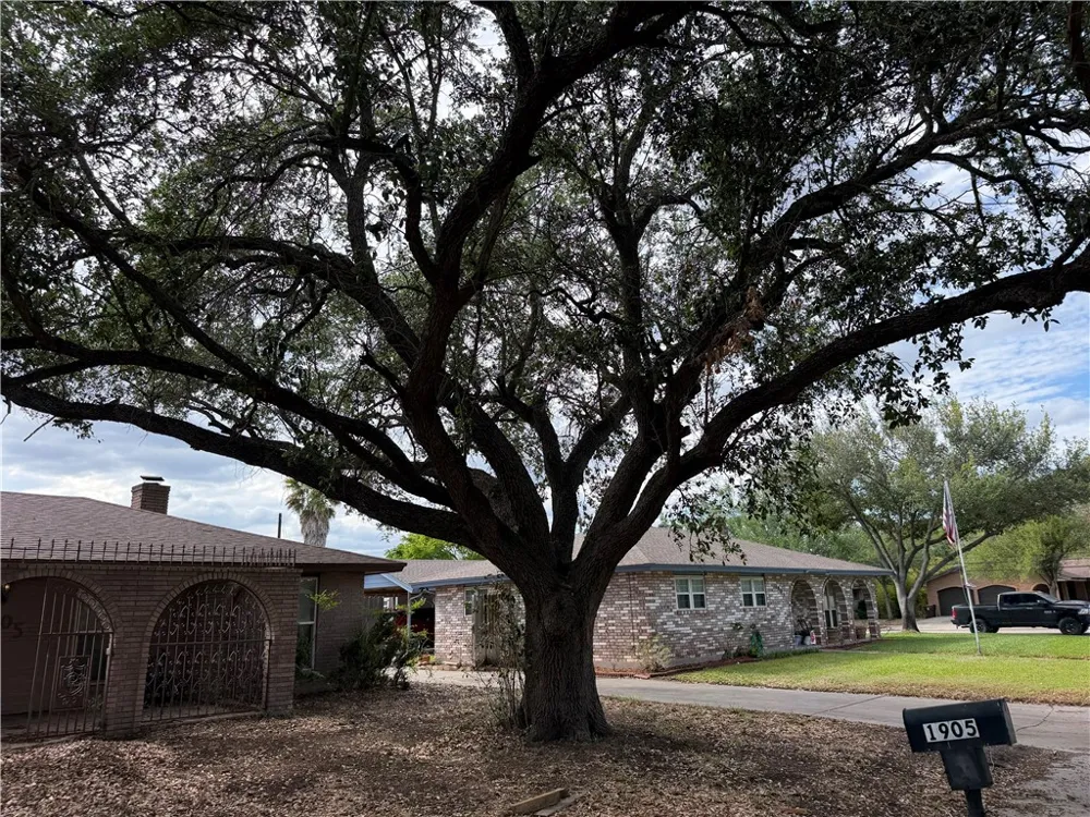 1905 Rettye Drive Kingsville, TX 78363