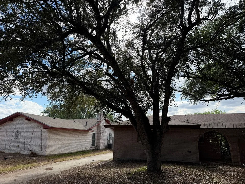 1905 Rettye Drive Kingsville, TX 78363