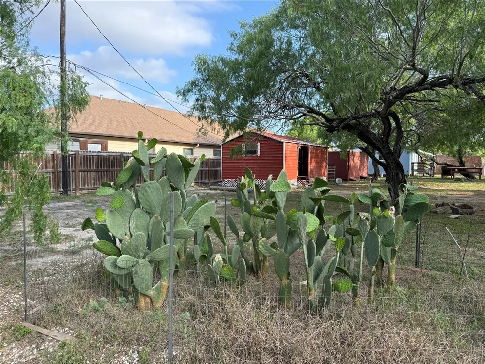 227 W Corral Avenue Kingsville, TX 78363