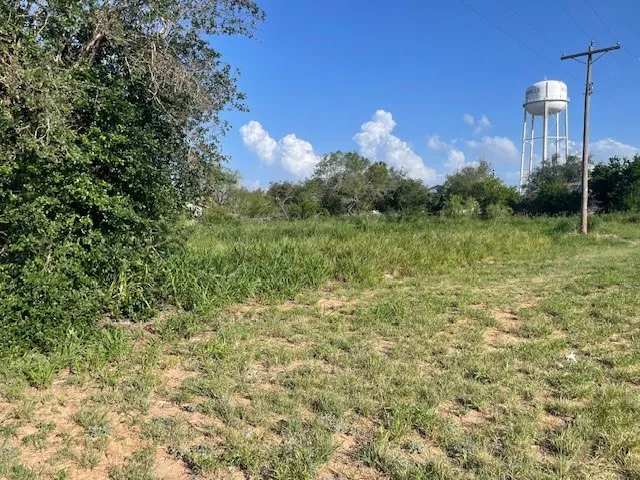 301 E Harald Street Hebbronville, TX 78361