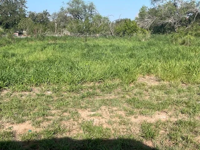 301 E Harald Street Hebbronville, TX 78361