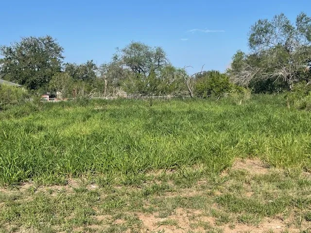 301 E Harald Street Hebbronville, TX 78361