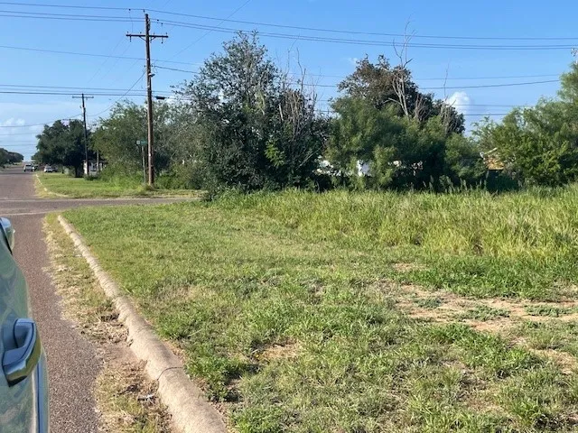 301 E Harald Street Hebbronville, TX 78361