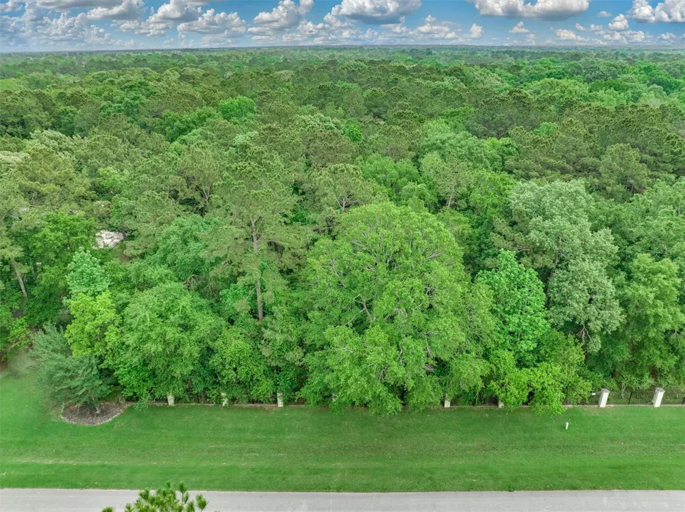 Lake Commons Way Huffman, TX 77336