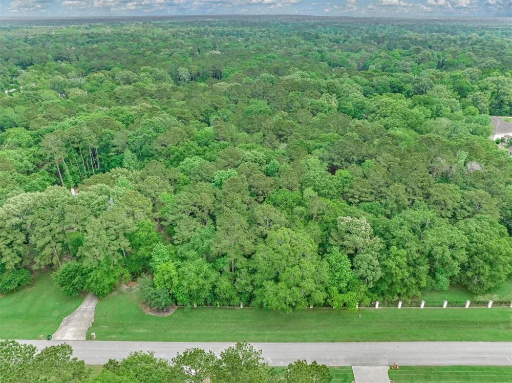 Lake Commons Way Huffman, TX 77336