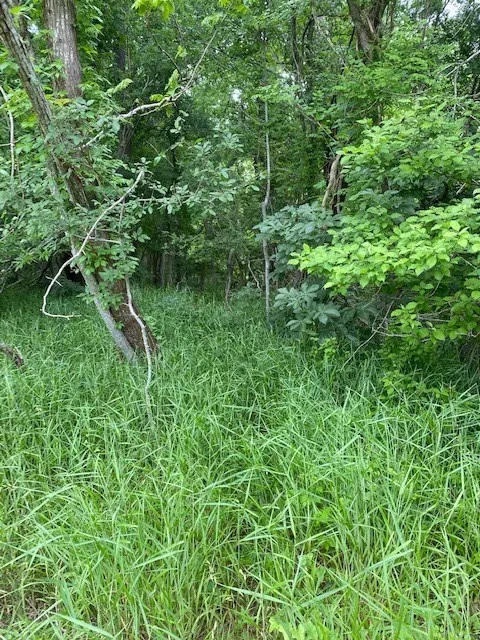 812 Kaukonahua Lane Bastrop, TX 78602