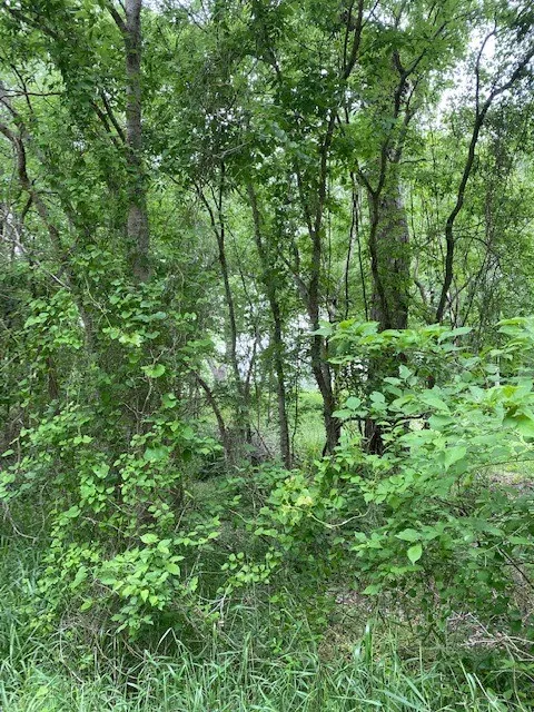 812 Kaukonahua Lane Bastrop, TX 78602