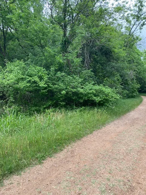 812 Kaukonahua Lane Bastrop, TX 78602