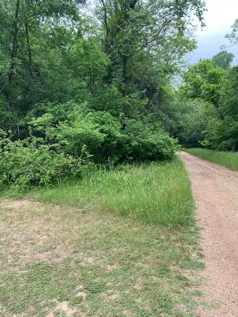 812 Kaukonahua Lane Bastrop, TX 78602