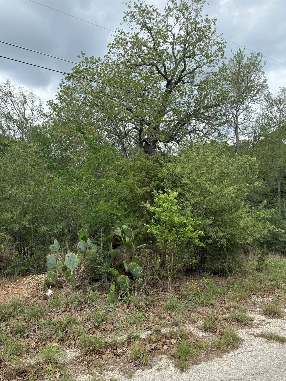 70 Kaelepulu Drive Bastrop, TX 78602