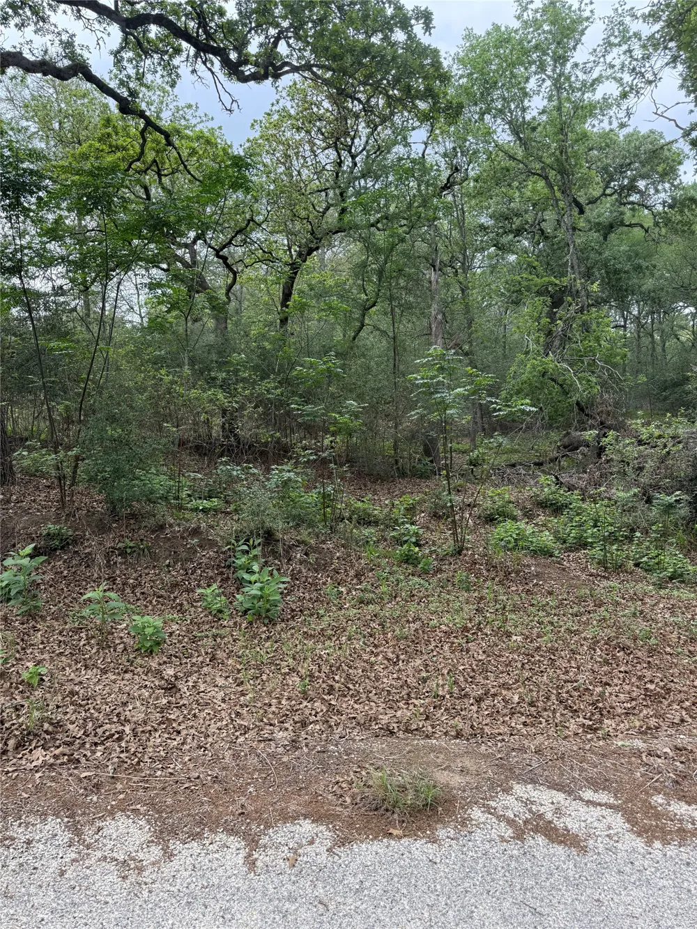 70 Kaelepulu Drive Bastrop, TX 78602