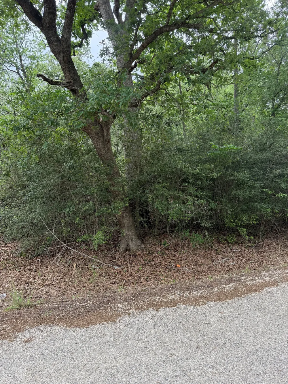 70 Kaelepulu Drive Bastrop, TX 78602