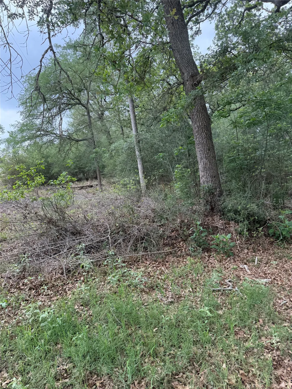 70 Kaelepulu Drive Bastrop, TX 78602
