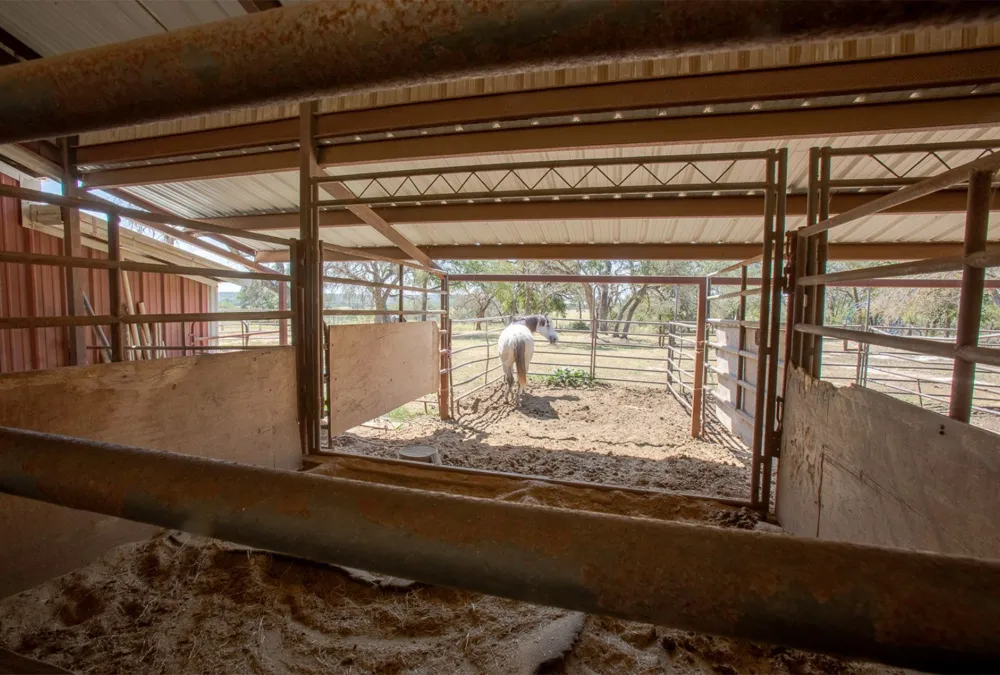 2010 County Road 233 Florence, TX 76527