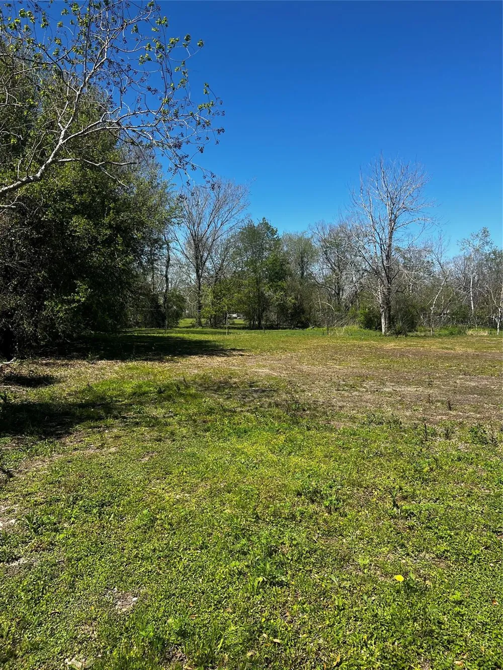 8002 Seddon Road Road Pearland, TX 77581