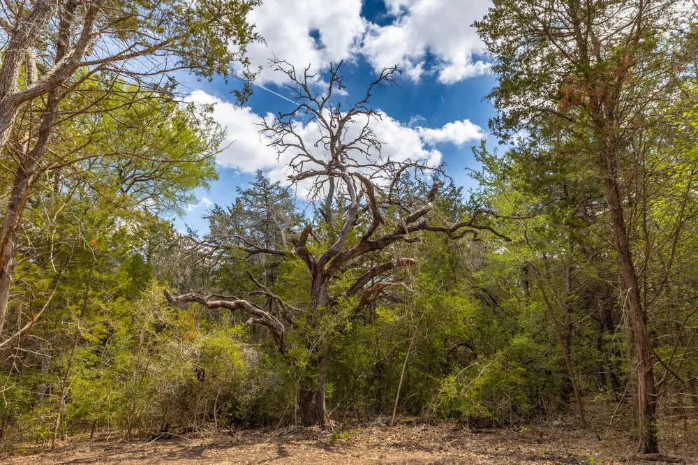 1910 Baca Loop Flatonia, TX 78941