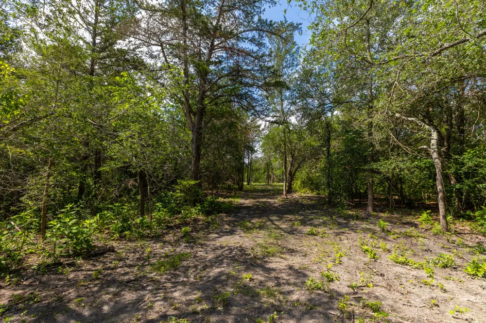 1910 Baca Loop Flatonia, TX 78941
