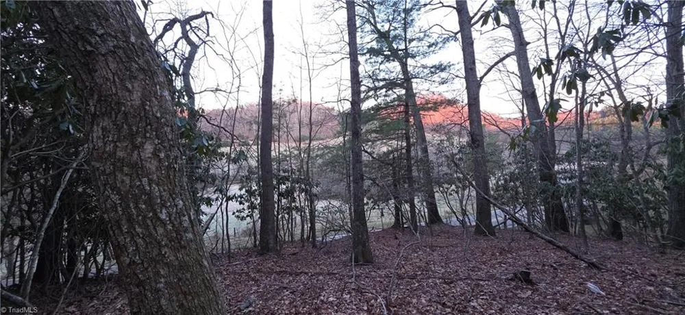 0 Air Bellows Gap Road Sparta, NC 28675