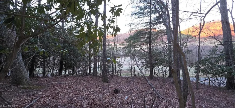 0 Air Bellows Gap Road Sparta, NC 28675