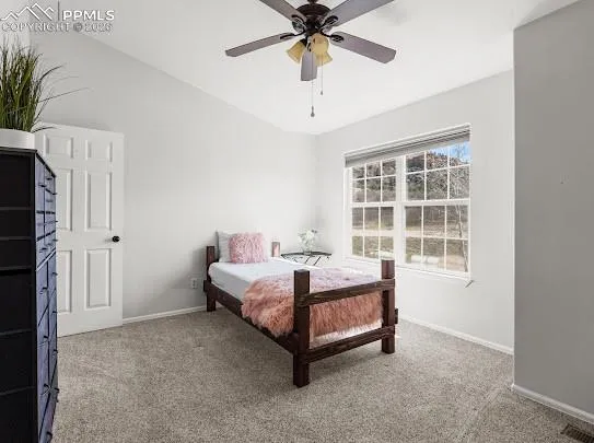 74 Vale Circle Palmer Lake, CO 80133