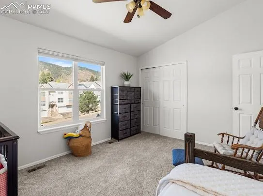 74 Vale Circle Palmer Lake, CO 80133