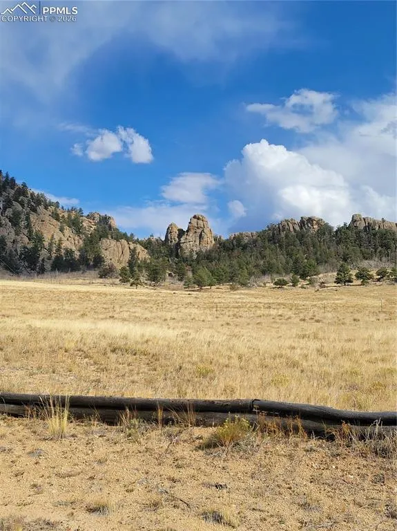 940 Puma Hills Road Lake George, CO 80827