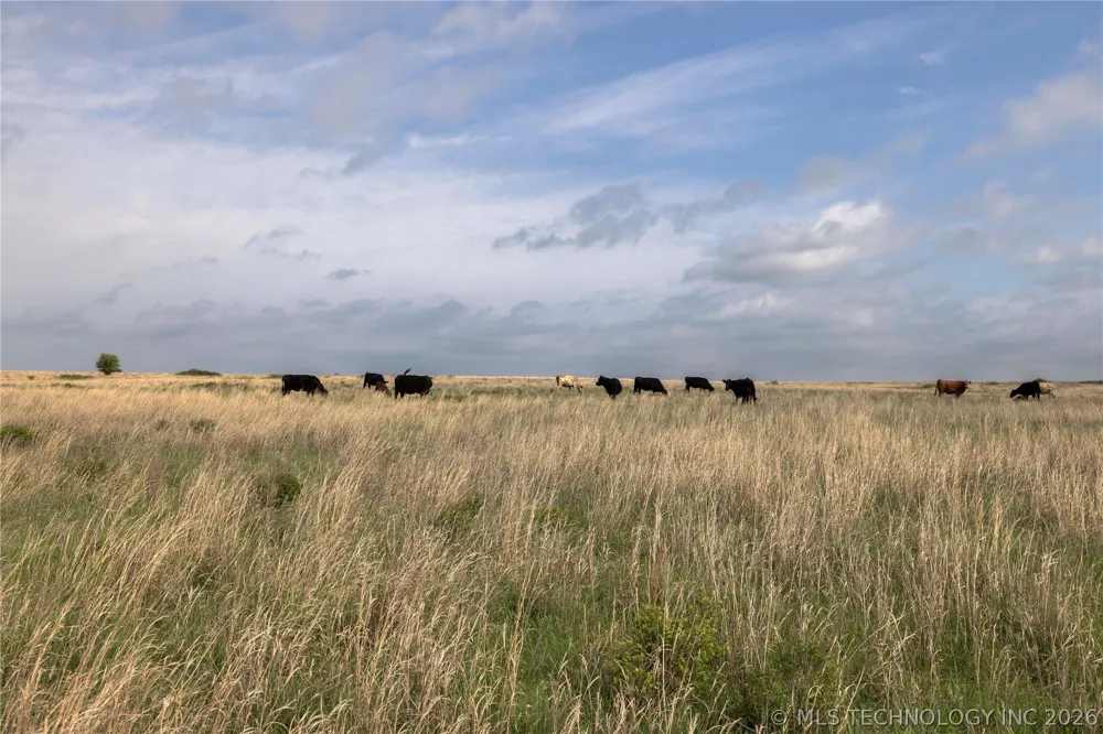 1 S 336 ROAD Pawnee, OK 73061