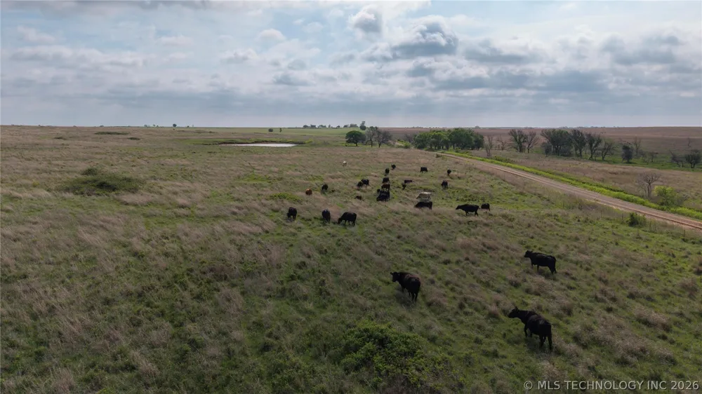 1 S 336 ROAD Pawnee, OK 73061