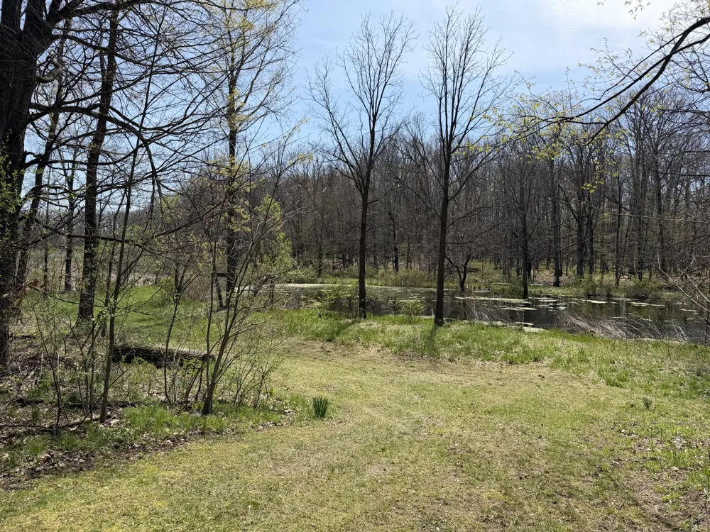 7805 W XY AVENUE Prairie Ronde Township, MI 49087