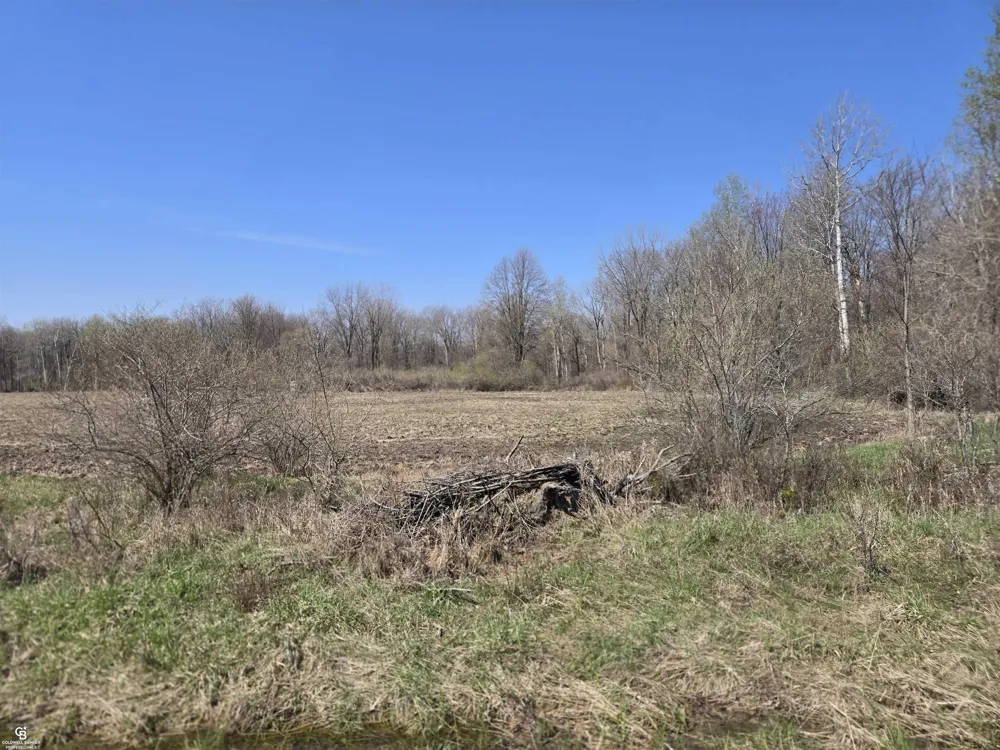 1182 Fetting VL Road Watertown Township, MI 48471