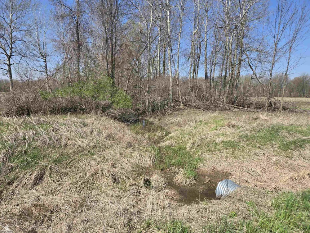 1182 Fetting VL Road Watertown Township, MI 48471