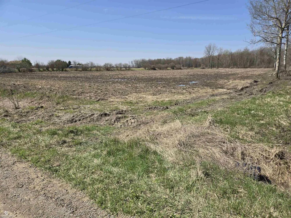1182 Fetting VL Road Watertown Township, MI 48471