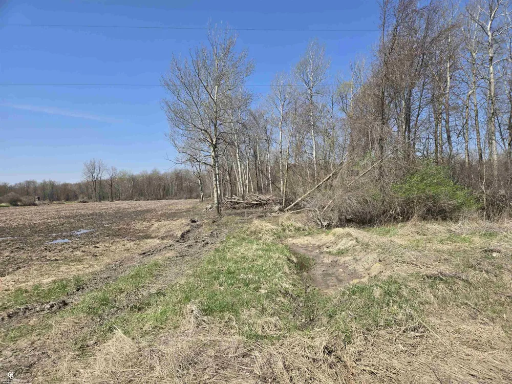 1182 Fetting VL Road Watertown Township, MI 48471