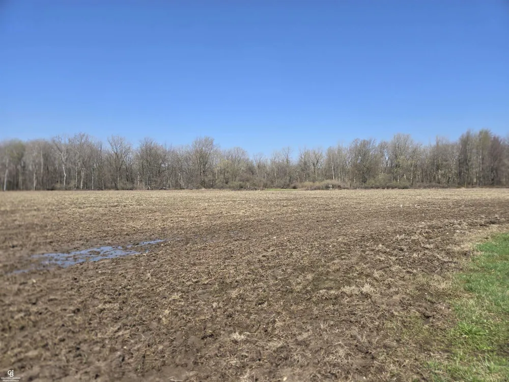 1182 Fetting VL Road Watertown Township, MI 48471