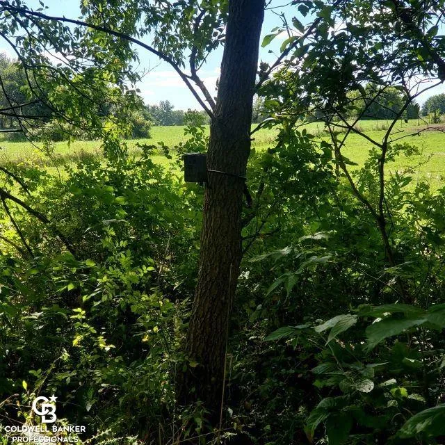 1182 Fetting VL Road Watertown Township, MI 48471