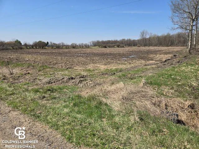 1182 Fetting VL Road Watertown Township, MI 48471