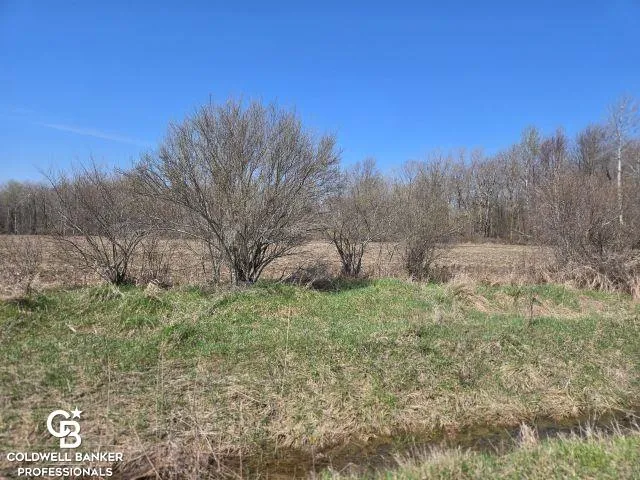 1182 Fetting VL Road Watertown Township, MI 48471