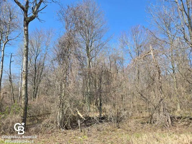 1182 Fetting VL Road Watertown Township, MI 48471