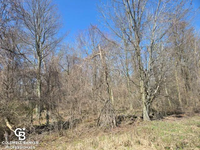 1182 Fetting VL Road Watertown Township, MI 48471
