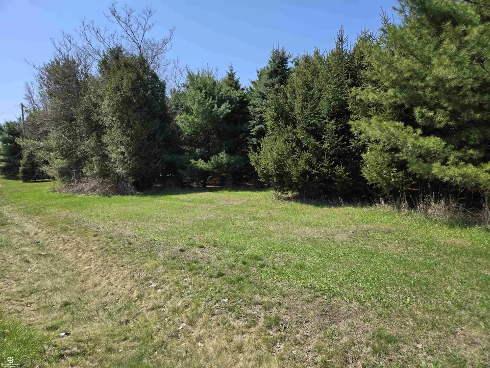 5834 Brockway Road Elk Township, MI 48466